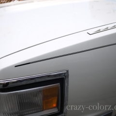 Cadillac deville pin stripe