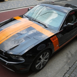 mustang_boss302_style_t_stripes