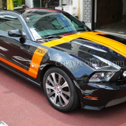 mustang_boss302_style_t_stripes2
