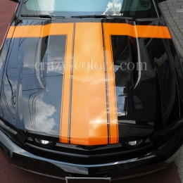 mustang_boss302_style_t_stripes4