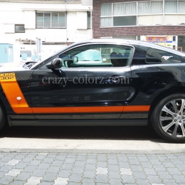 mustang_boss302_style_t_stripes5