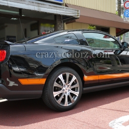 mustang_boss302_style_t_stripes6