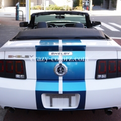 SHELBY MUSTANG RACING STRIPES