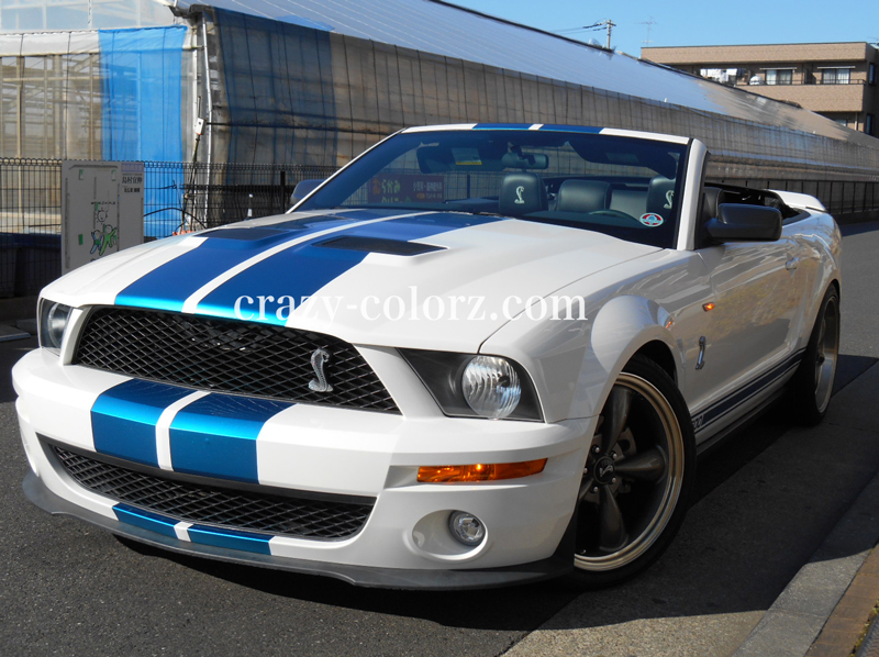 FORD MUSTANG SHELBY GT500 RACING STRIPES DUAL1 |
