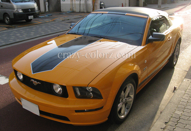 FORD MUSTANG CONVERTIBLE SWORD STRIPES |