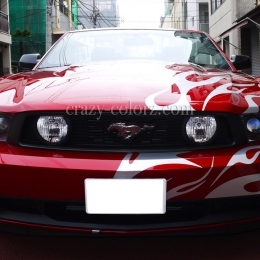 mustang_crazy_flame4