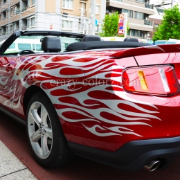 mustang_crazy_flame5