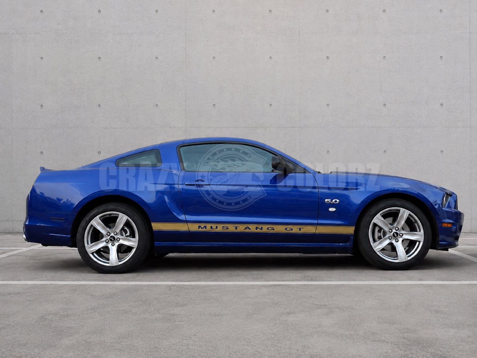 MUSTANG GTロゴを配したゴールドサイドストライプ