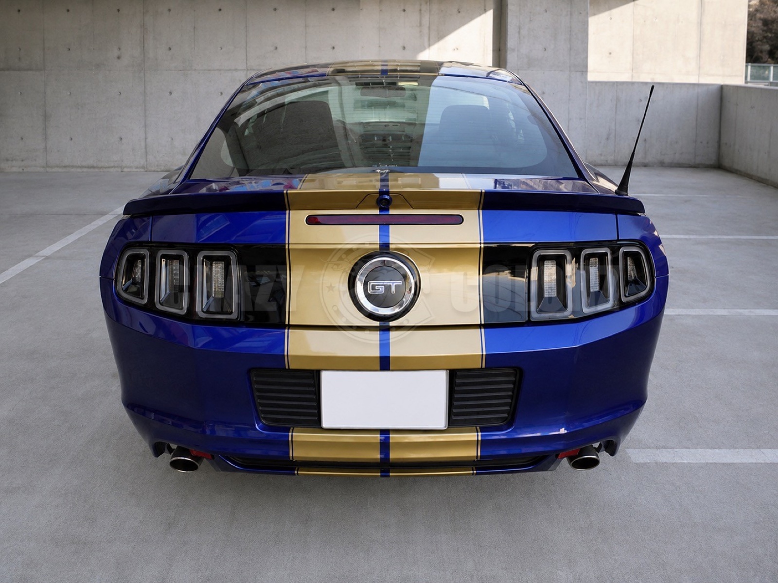 ゴールドレーシングストライプを施工した2013年式マスタングGTのリア