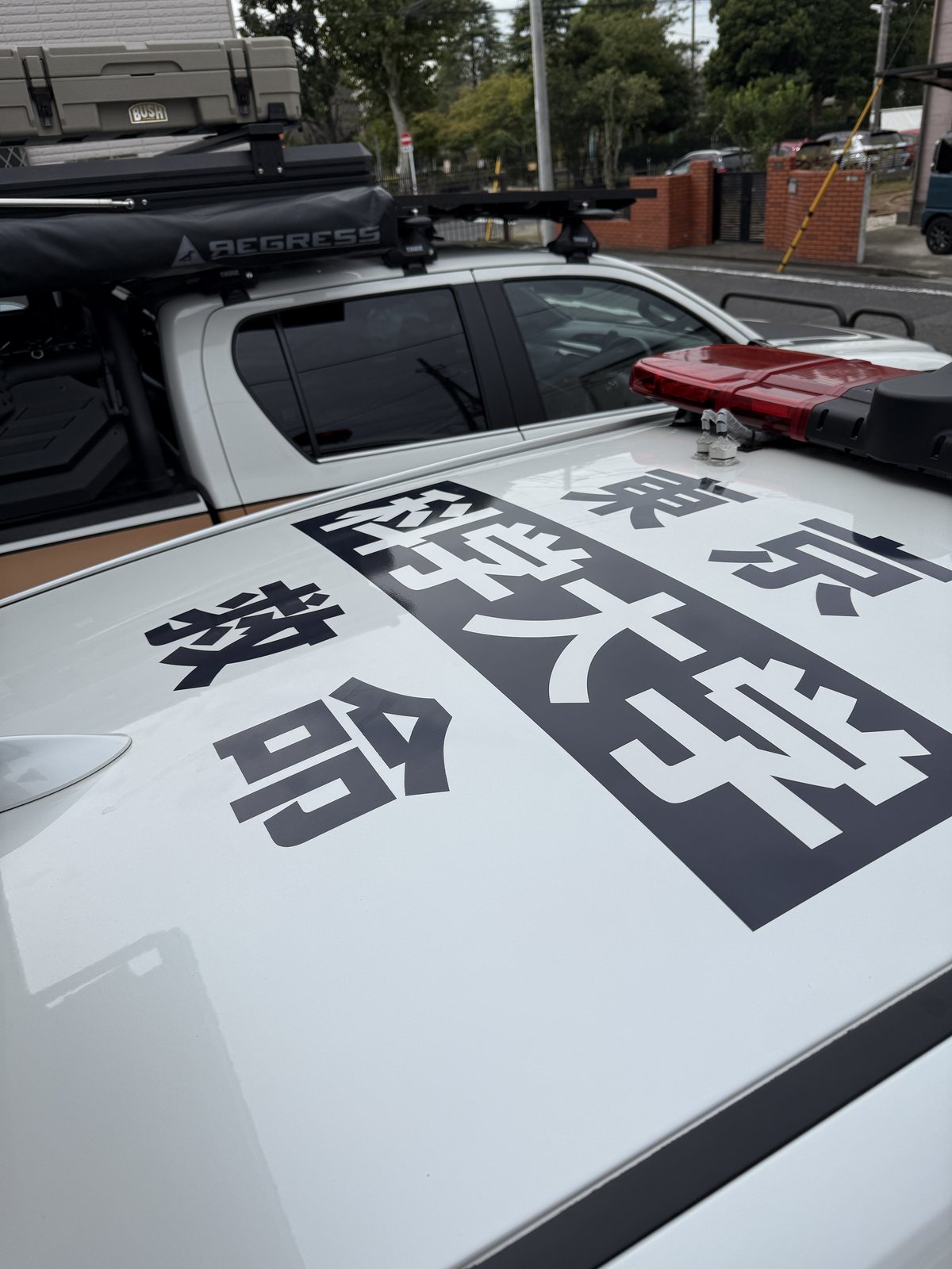 レクサス RX ドクターカー ボンネット 救命 大判マーキング 東京